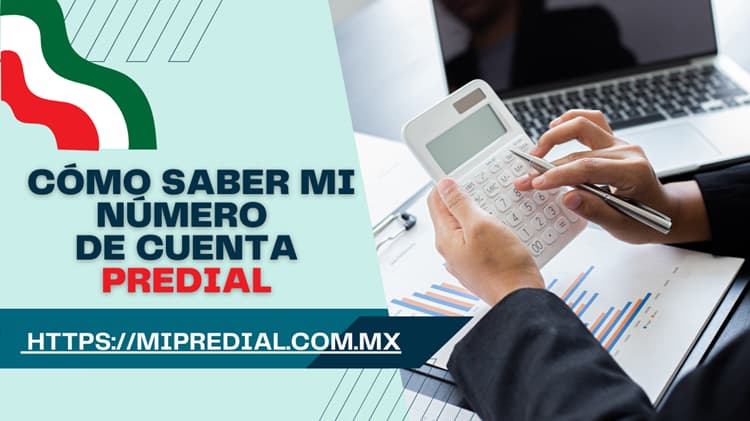 Como saber mi numero de cuenta predial